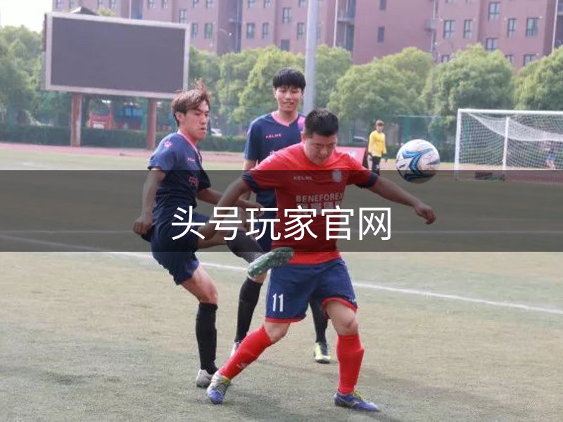 网站概况